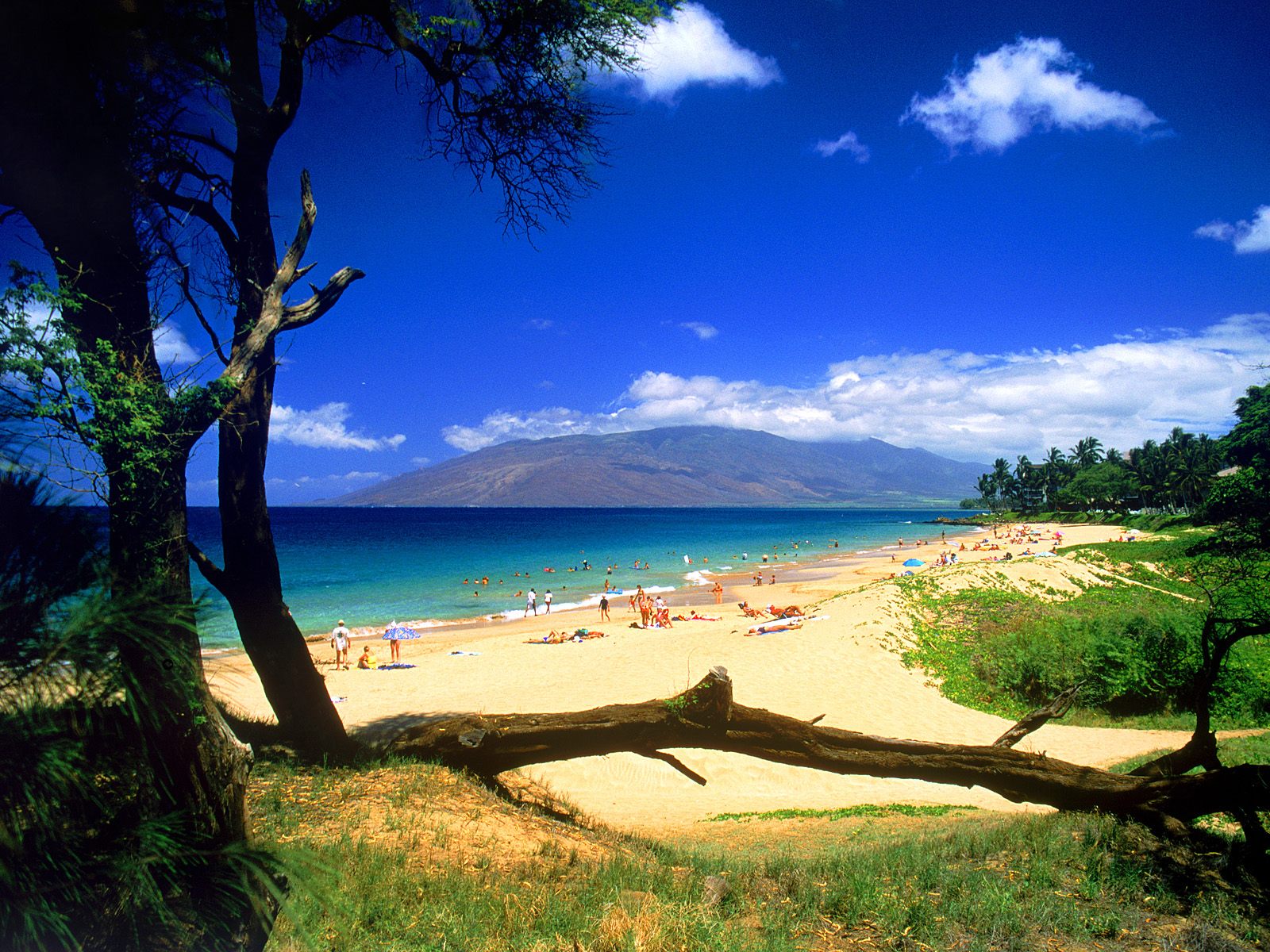 Maui Beautiful Island Travel Information & Latest Photos World